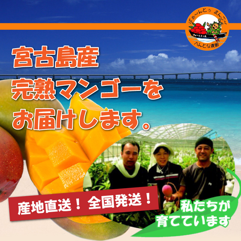 宮古島マンゴー へんとな農園 | 完熟マンゴーを産地直送！